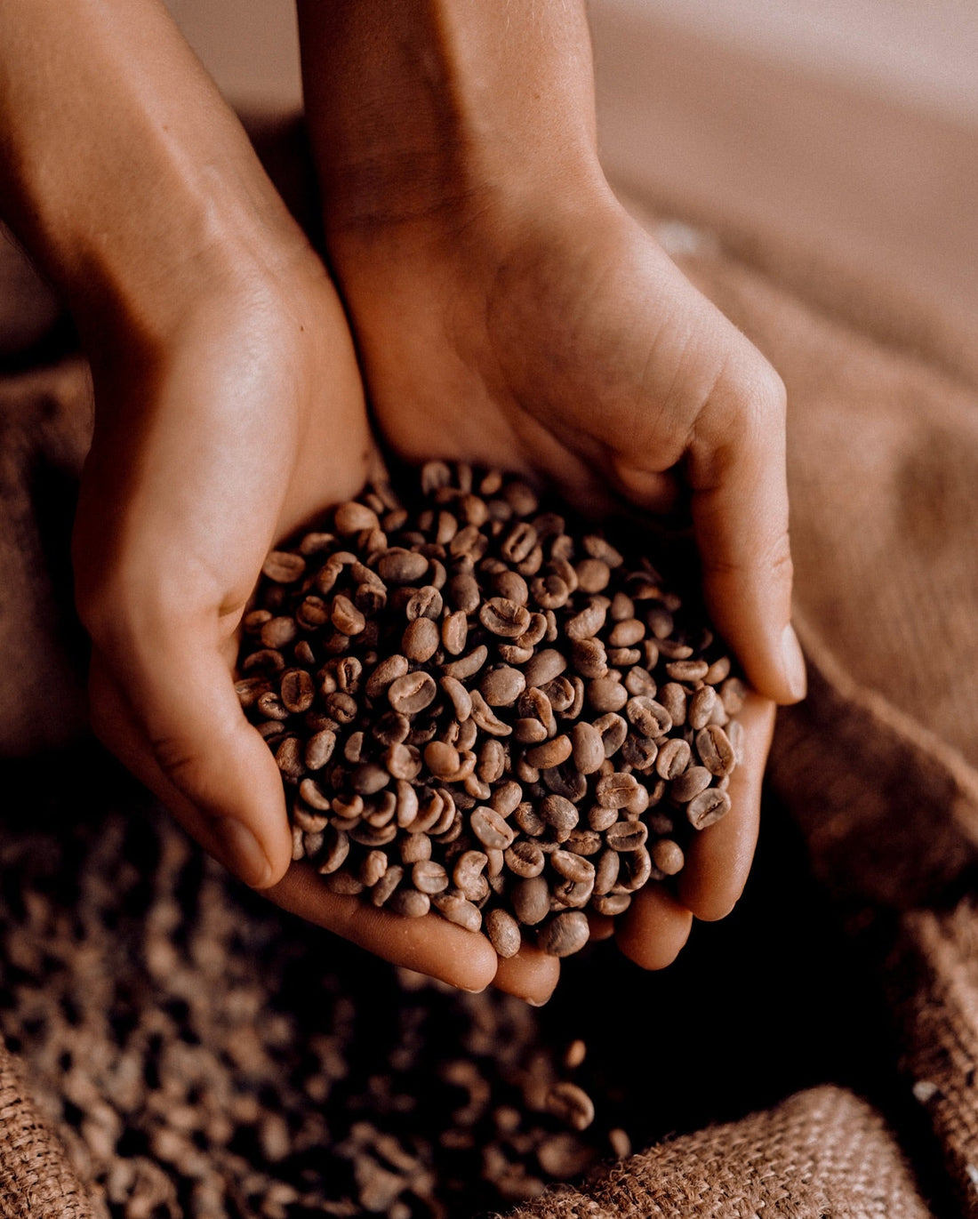 Choosing the Right Roast for Your Coffee