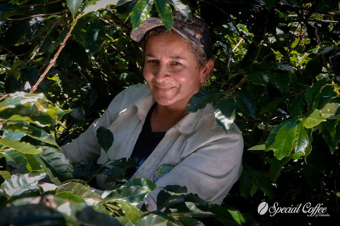 Empowering Women in Coffee: Growing Together with Passion and Purpose